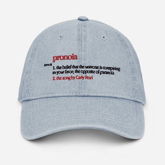 Denim "Pronoia Definition" Hat